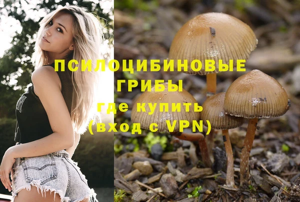 стафф Абдулино
