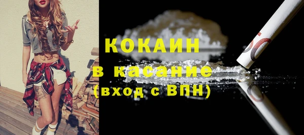 соль ск Абаза