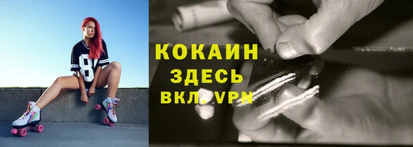соль ск Абаза