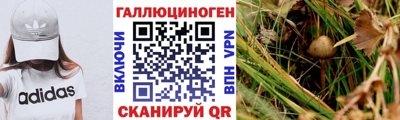 blacksprut ONION Камень-на-Оби Псилоцибиновые грибы MAGIC MUSHROOMS