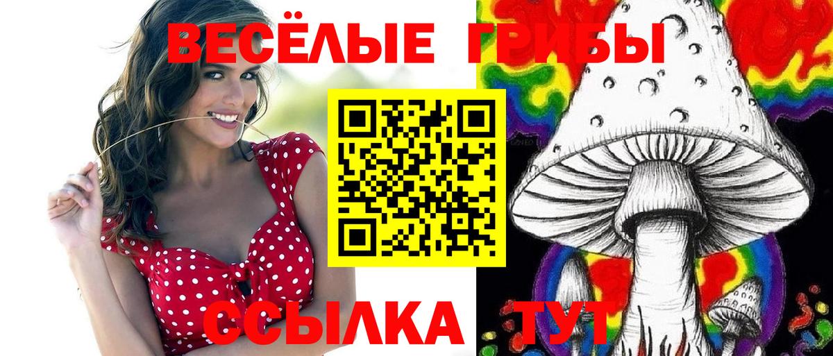 Галлюциногенные грибы MAGIC MUSHROOMS  Вход с VPN  Камень-на-Оби 