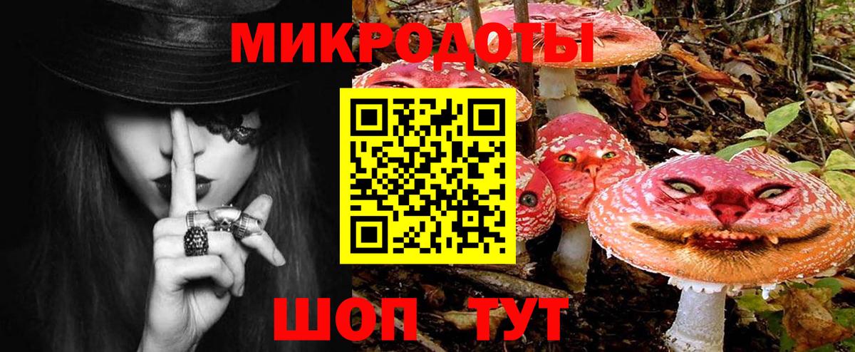 Псилоцибиновые грибы GOLDEN TEACHER Камень-на-Оби