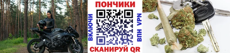 купить наркотик  Камень-на-Оби  Каннабис сатива 